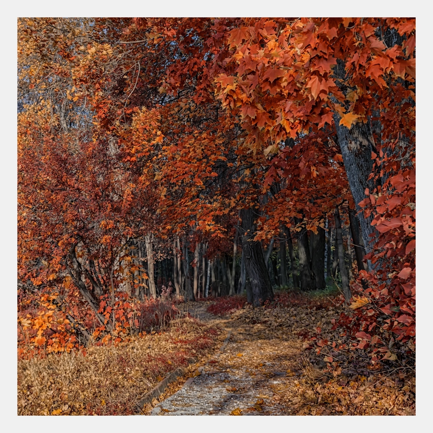 Осенний пейзаж Остроухова