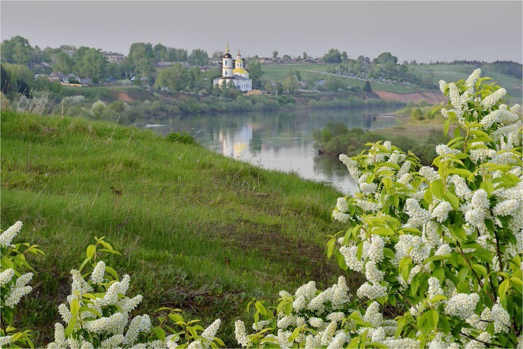 Картинки майская красота