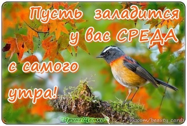 https://content-21.foto.my.mail.ru/community/1community/_groupsphoto/h-18476.jpg