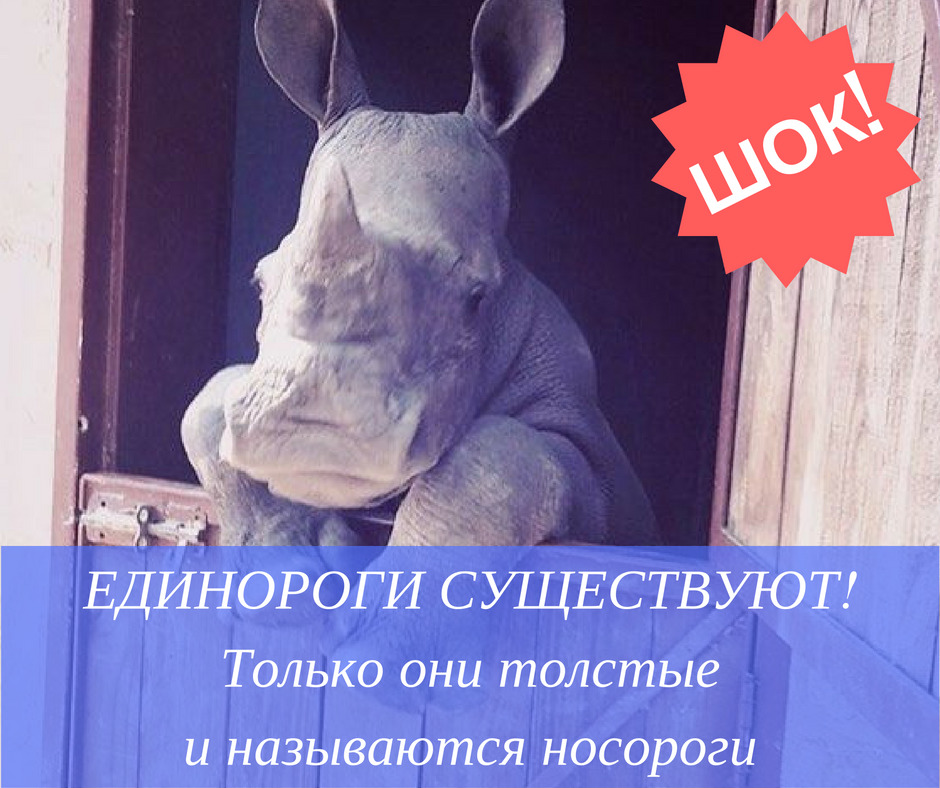 Невероятно но факт