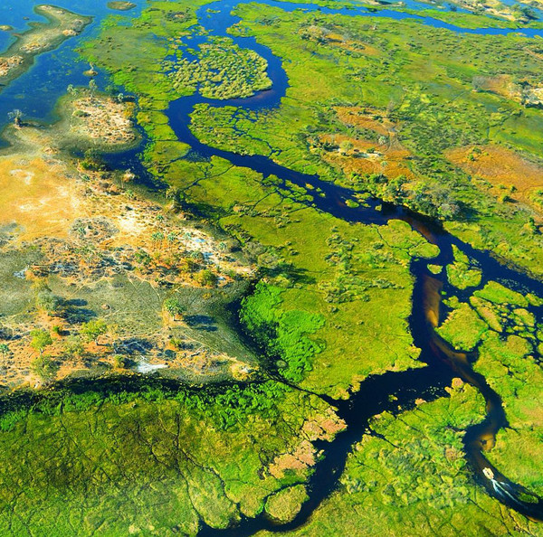 Дельта Окаванго— самая большая внутренняя дельта планеты, не имеющая при этом стока в мировой океан. Находится на территории Ботсваны. Дельта заболочена, мелководна, главный источник воды в этом регионе, примыкающем к пустыне Калахари — это река Окаванго, стекающая с возвышенностей Анголы.