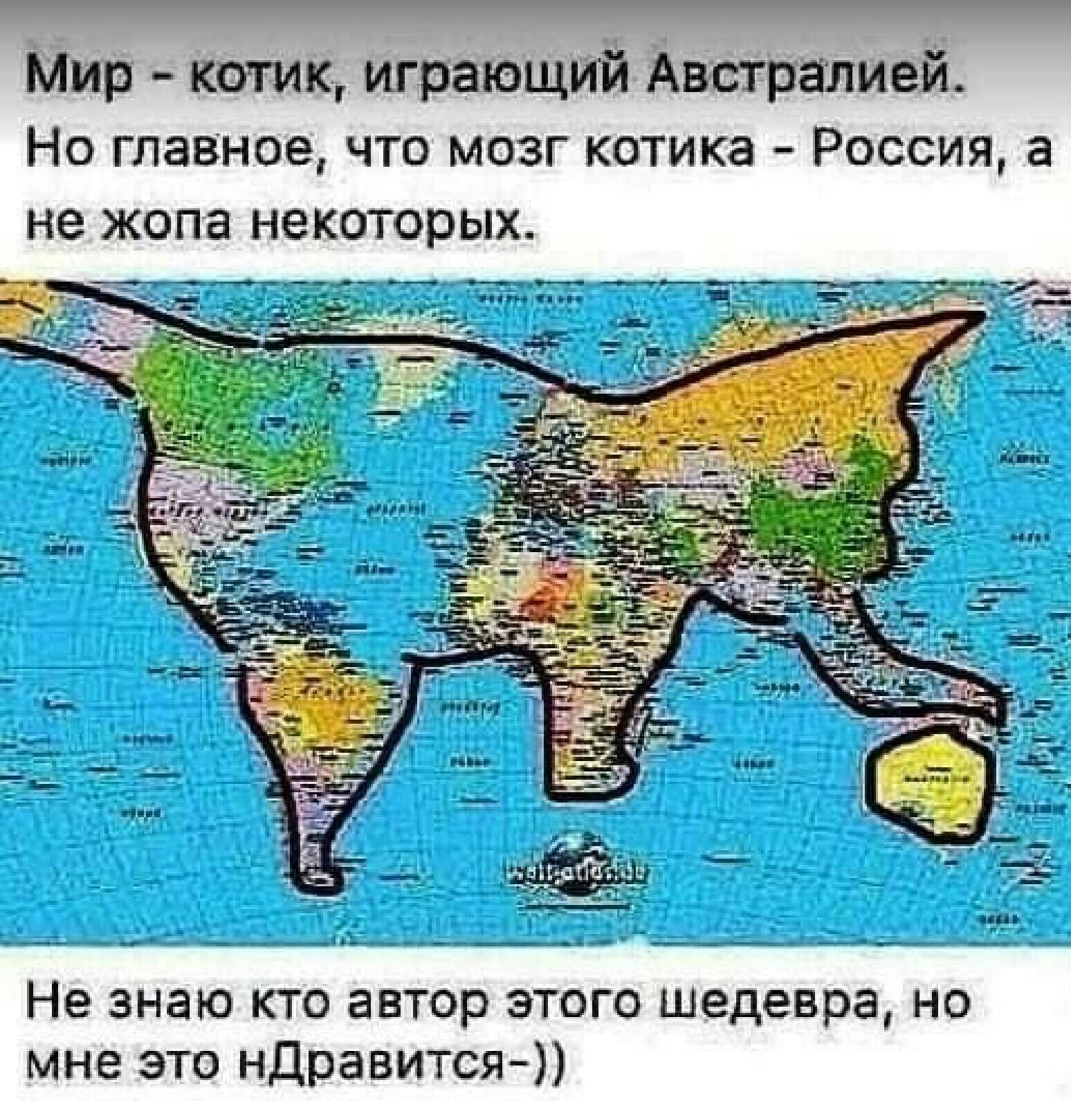 Карта мира это котик играющий с австралией