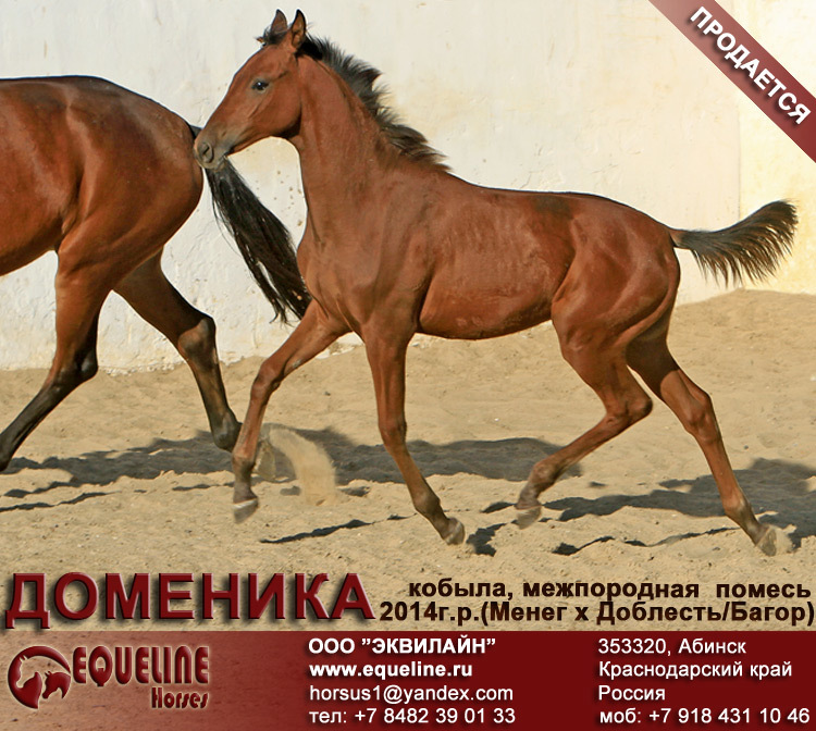 Русские клички лошадей