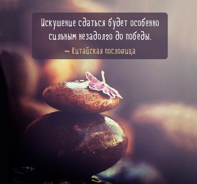 Картинки жизнеутверждающие с надписями, анимация чайки гифка