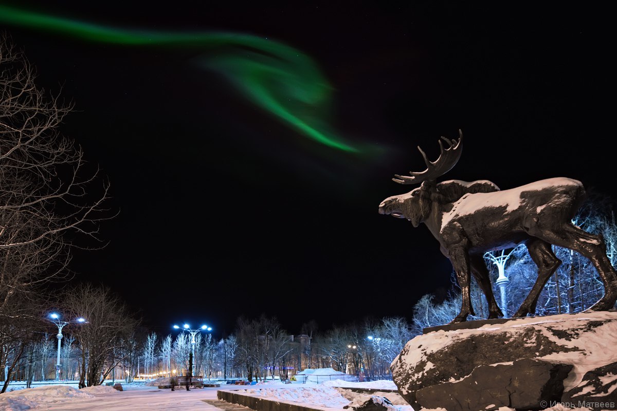 Красота мончегорска. Мончегорск зима. Мончегорск зимой. Лось зима в городе Мончегорске.