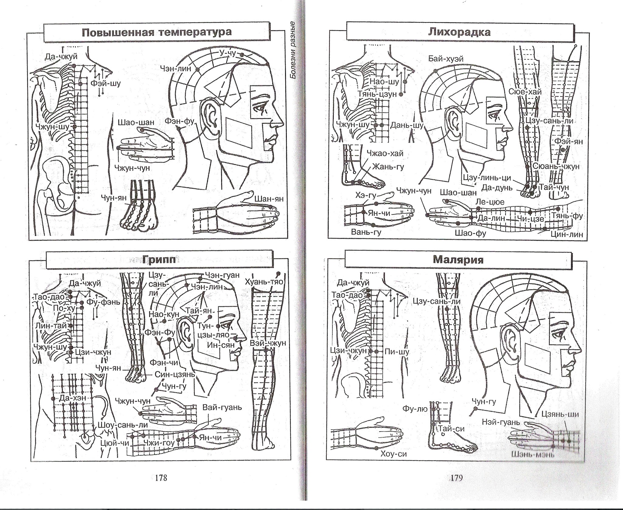 Атлас леднева 176 схем биологически активных точек для лечения 200 болезней